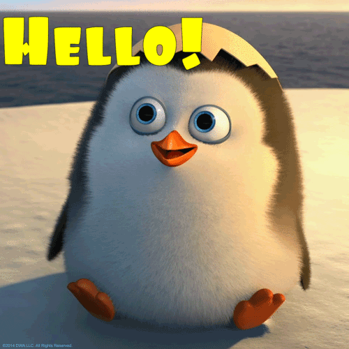 Hello to You from penguin! GIF with text. The best greeting card for You.