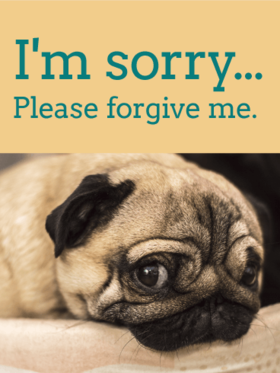 Forgive me please. New ecard for her or him! Please forgive me. I am sorry. Card with a cute dog. Cars with a pug. Free Download 2024 greeting card
