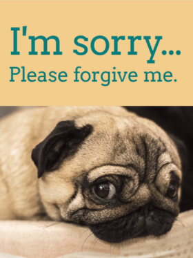 Forgive me please. New ecard for her or him! Please forgive me. I am sorry. Card with a cute dog. Cars with a pug. Free Download 2025 greeting card