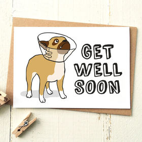 Get Well Soon and a french Bulldog. New ecard. get well, my friend. French Bulldog wishes to get well. Sending sunshine to brighten your day. Get well soon my dearest friend. Free Download 2024 greeting card
