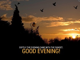 Good Evening and rest. Ecard for free. Rest, my happiness, gain strength and remember that you are my most beloved person in the world! Free Download 2024 greeting card