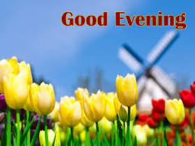 Good Evening card with a flowers. Ecard. Let this evening be kind, Cozy, gentle for you. Let surrounds the weasel modestly, And my love warms my soul. Free Download 2024 greeting card