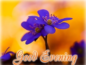 Good Evening title. Ecard. I wish you the bright moments and pleasant evening surprises, strong hugs and holiday of the soul. Free Download 2024 greeting card