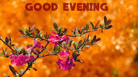 Beautiful flowers and good evening. Nature ecard. Let the beautiful evening to be this. You will be given only peace and the sunset will envelop you only unkind and warmth. Free Download 2025 greeting card