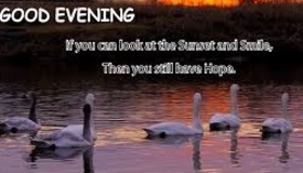 Good Evening to all of my friends. Nature ecard. If you can look at the sunset and smile, then you still have a hope. Free Download 2025 greeting card