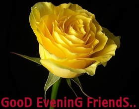 Good Evening card with yellow rose. Ecard. Good evening to my beautiful and lovely lady. I love you so much! Free Download 2025 greeting card