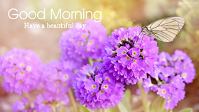 Good Morning card for sister. Have a beautiful day! Beautiful flowers for You. Good morning! Have a nice day, great mood! Let the morning sun charge positive energy for the whole day! Free Download 2024 greeting card