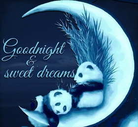 Good Night and sweet Dream! Two pandas. Moon. Good Night... wishes... sweet Dream... Late at night, everyone's asleep. Free Download 2024 greeting card