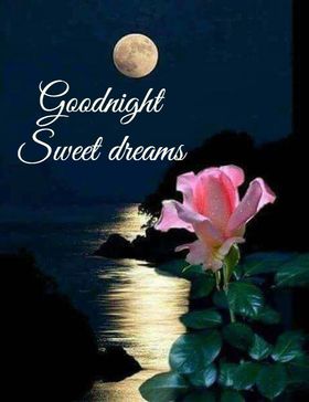 Good Night! Wood lake. Pink rose. White moon. Good Night... wishes... sweet Dreams... Beautiful good night... Coastal Moonlight. Romantic. Free Download 2023 greeting card