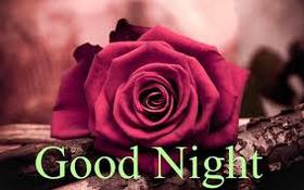 Good Night. Ecard for your woman. Red rose. Good Night... wishes... sweet Dream... Beautiful good night... Nice. Free Download 2024 greeting card