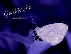 Good Night. Beautiful Butterfly. Blue ecard. Good Night... butterfly... sweet Dream... Beautiful good night... Ecard for girls. Free Download 2024 greeting card