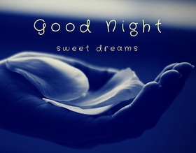 Good Night. Rose petals in my hand. Good Night... wishes... sweet Dream... Free Download 2025 greeting card