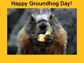 Groundhog day... Ecard for grandparents... Beautiful marmot... chewing cookie... Free Download 2024 greeting card