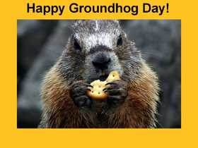 Groundhog day... Ecard for grandparents... Beautiful marmot... chewing cookie... Free Download 2025 greeting card