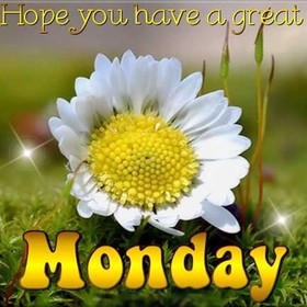 For My Bff. Flower ecard. Hope you have a great Monday. Monday postcard with a chamomile. Monday wishes for a friend. Monday. Free Download 2025 greeting card