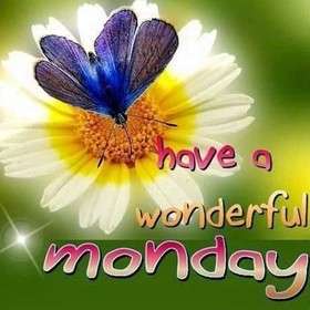 Have a wonderful Monday! Spring ecard. Wishes for Monday Morning. Good Morning. Monday wishes for girls. Have a wonderful monday. Chamomile. Free Download 2025 greeting card