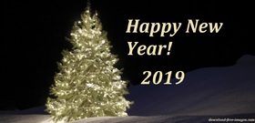 Lightening beautiful tree on a new year night! Happy New Year 2019. Lightening Fir-tree. X-mas tree. Christmas tree. New Year night. New ecard 2019. Free Download 2024 greeting card