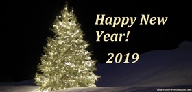 Lightening beautiful tree on a new year night! Happy New Year 2019. Lightening Fir-tree. X-mas tree. Christmas tree. New Year night. New ecard 2019. Free Download 2025 greeting card