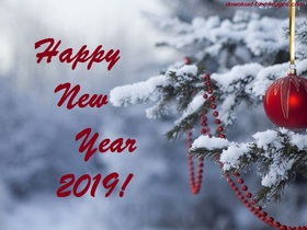 This snowy e-card for you! Happy New Year 2019. Red Ball. Fir-tree. X-mas tree. Christmas tree. Snow. Free Download 2024 greeting card