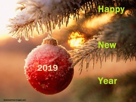Happy New Year 2019! The first day of the New Year Happy New Year 2019. Red frozen Ball. Fir-tree. X-mas tree. Christmas tree. Sunrise. The first day of the year Free Download 2024 greeting card