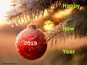 Happy New Year 2019! The first day of the New Year Happy New Year 2019. Red frozen Ball. Fir-tree. X-mas tree. Christmas tree. Sunrise. The first day of the year Free Download 2025 greeting card