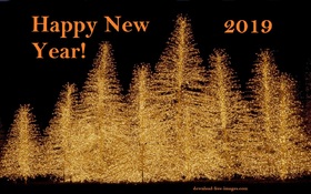 Many lighting Fir-trees in New Year! New ecard. Happy New Year 2019. Lighting Fir-trees. X-mas trees. Christmas trees. New Year night. Free Download 2024 greeting card