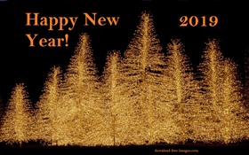 Many lighting Fir-trees in New Year! New ecard. Happy New Year 2019. Lighting Fir-trees. X-mas trees. Christmas trees. New Year night. Free Download 2025 greeting card