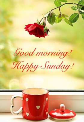Good Morning! Happy Sunday! New ecard. Happy Sunday! Cute cup of tea. Have a good Sunday, my love. Free Download 2024 greeting card