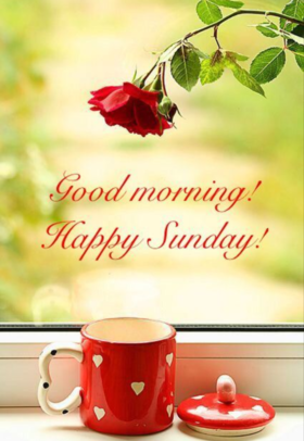 Good Morning! Happy Sunday! New ecard. Happy Sunday! Cute cup of tea. Have a good Sunday, my love. Free Download 2025 greeting card