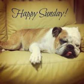 Happy Sleepy Sunday. New ecard. Tired dog wishes Happy Sunday. Good morning! Surround yourself with positive people, who�ll give you bright emotions and Sunday will be unforgettable! Sleepy dog. Free Download 2022 greeting card