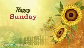 Sunday Morning wishes and sunflowers. New ecard. Sunflower. Countryside Sunday Morning. Sunday Sunflowers. Have a nice and happy Sunday. Sunday pic for friends and colleagues. Free Download 2023 greeting card