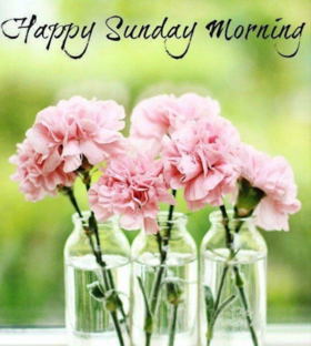 Happy Sunday Morning. New ecard. Morning. Good Sunday Morning. Have a happy Sunday. Sunday pink flowers. Sunday wishes. Free Download 2025 greeting card