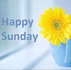 Happy sunday and yellow flower. New ecard. Yellow flower. Have a nice Sunday. Send this Sunday pic to all your friends. Happy Sunday! Free Download 2024 greeting card