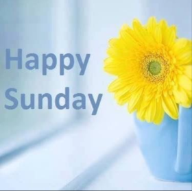 Happy sunday and yellow flower. New ecard. Yellow flower. Have a nice Sunday. Send this Sunday pic to all your friends. Happy Sunday! Free Download 2025 greeting card