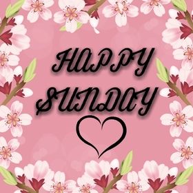Happy sunday on a rose background. New ecard. sunday. Have a beautifyl Sunday. Happy Sunday. Have a nice weekend. Have a rest and relax. Good weekend. Free Download 2024 greeting card