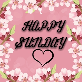 Happy sunday on a rose background. New ecard. sunday. Have a beautifyl Sunday. Happy Sunday. Have a nice weekend. Have a rest and relax. Good weekend. Free Download 2025 greeting card