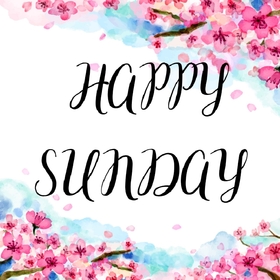 Sunday is a beautiful day. New ecard. Sunday pink flowers. Have a nice day. Sunday wishes for her. Send this wonderful Sunday ecard to your dear. Free Download 2024 greeting card