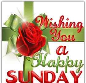 Wishing You A Happy Sunday. New ecard. Sunday. I wish you a beautiful Sunday. Sunday card and wishes for her. Rose. Free Download 2024 greeting card