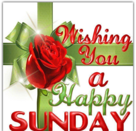 Wishing You A Happy Sunday. New ecard. Sunday. I wish you a beautiful Sunday. Sunday card and wishes for her. Rose. Free Download 2025 greeting card