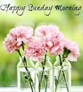 Sunday flowers. New ecard. Sunday flowers. Happy Sunday wishes. A productive Sunday is the Sunday when you felt and learned something new. Have a marvelous Sunday! Free Download 2022 greeting card