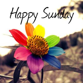 Happy Sunday to your mother. New ecard. Colourful flower. Sunday wishes.True to our self is a step to success! So be true and lead your life in the success path! Have a great Sunday! Free Download 2024 greeting card