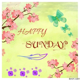 Happy sunday and beautiful flowers background. Sunday Morning. Have a nice weekend. Good Sunday Morning. Beautiful flowers for Sunday mood. New ecard. Free Download 2024 greeting card