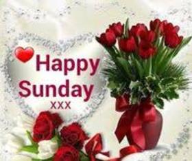 Happy Sunday and red flowers. New ecard. Sunday flowers. Happy Sunday postcard. Its a beautiful Sunday! There are so many reasons to be happy and not to give up, look around and cheer up. Free Download 2025 greeting card