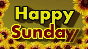 Happy Sunday inside the sunflowers. New ecard. Sunday sunflowers. Have a Happy Sunday. Sunday flowers. Pictures with Happy Sunday for friends. Free Download 2024 greeting card