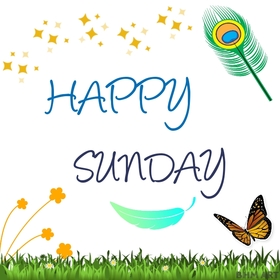 Happy Sunday butterfly. New ecard. Sunday butterfly. Have a Happy Sunday. Sunday wishes and postcards for friends and family. Free Download 2024 greeting card