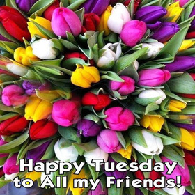 Happy Tuesday to all my friends. New ecard. Tuesday postcard for friends. Happy Tuesday for all of my friends. Tuesday wishes and postcards. Free Download 2025 greeting card