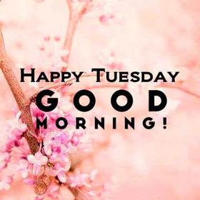 Tuesday Good Morning. New ecard. Happy Tuesday. Good morning. Rose tone. Pink background. Good Tuesday. Tuesday wishes. Free Download 2024 greeting card