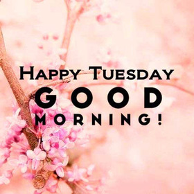 Tuesday Good Morning. New ecard. Happy Tuesday. Good morning. Rose tone. Pink background. Good Tuesday. Tuesday wishes. Free Download 2025 greeting card