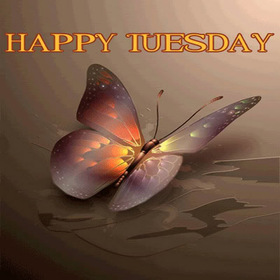 Happy Tuesday butterfly. New ecard. Tuesday. Butterfly. Have a happy Tuesday. Wishes on Tuesday for friends and family. Butterfly sitting on the water surface. Free Download 2024 greeting card