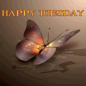 Happy Tuesday butterfly. New ecard. Tuesday. Butterfly. Have a happy Tuesday. Wishes on Tuesday for friends and family. Butterfly sitting on the water surface. Free Download 2025 greeting card